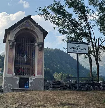 Foto annuncio 34
