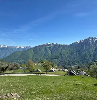 Foto annuncio 35