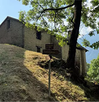 Foto annuncio 17