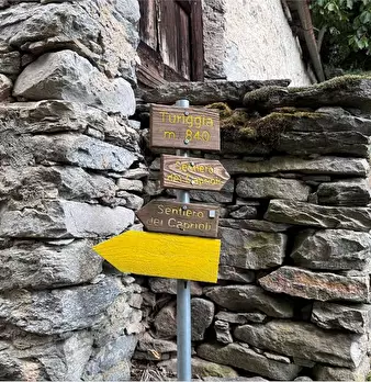 Foto annuncio 18