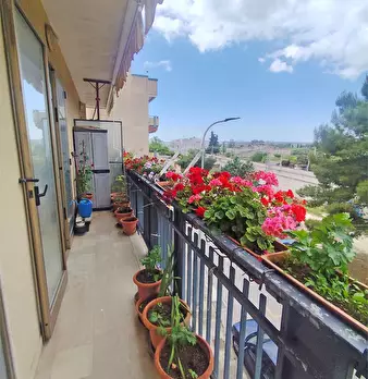 Foto annuncio 7