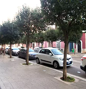 Foto annuncio 2