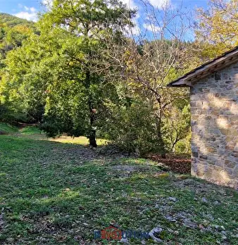 Foto annuncio 8