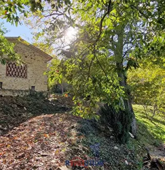 Foto annuncio 9