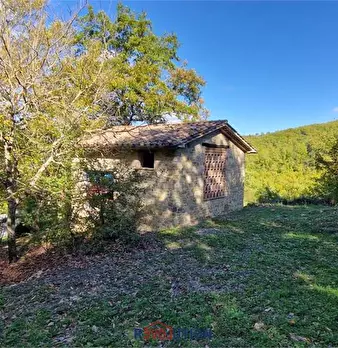 Foto annuncio 12