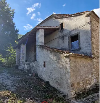 Foto annuncio 2
