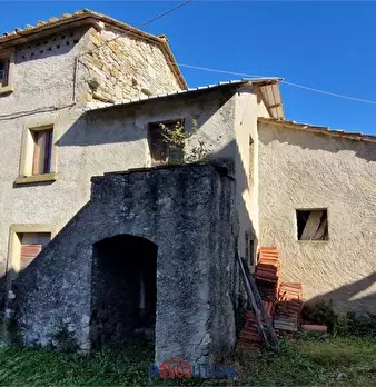 Foto annuncio 19
