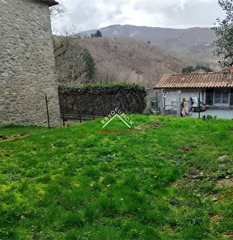 Foto annuncio 19