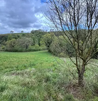 Foto annuncio 6