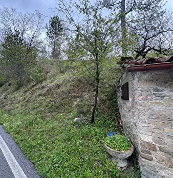 Foto annuncio 9