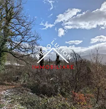 Foto annuncio 16