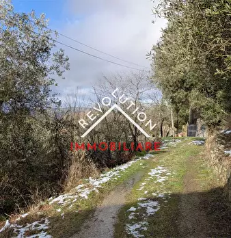 Foto annuncio 18