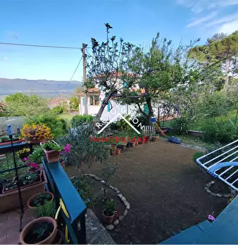 Foto annuncio 36