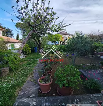 Foto annuncio 46