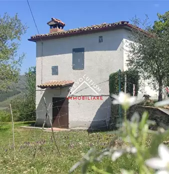 Foto annuncio 19