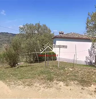 Foto annuncio 24