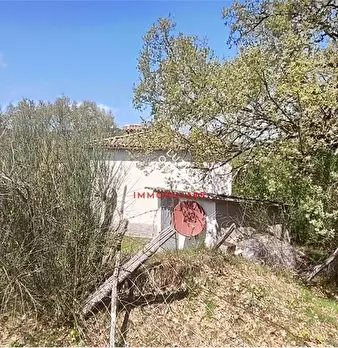 Foto annuncio 28