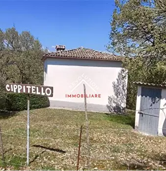 Foto annuncio 22