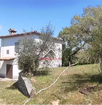 Foto annuncio 29
