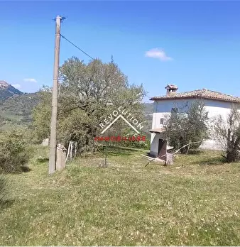 Foto annuncio 31