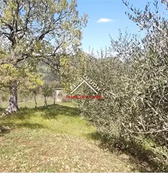 Foto annuncio 32