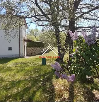 Foto annuncio 26