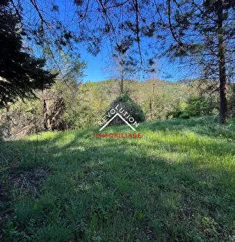 Foto annuncio 65
