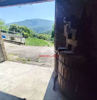 Foto annuncio 9