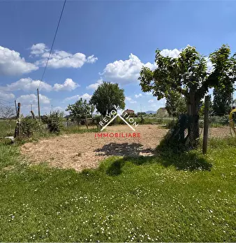 Foto annuncio 30