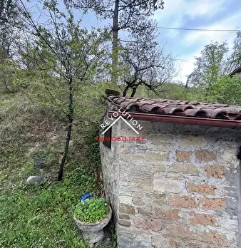 Foto annuncio 7
