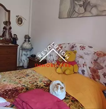 Foto annuncio 15
