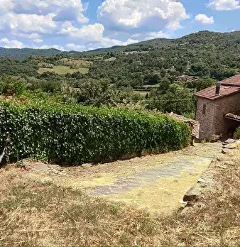 Foto annuncio 35