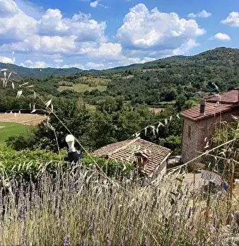 Foto annuncio 36