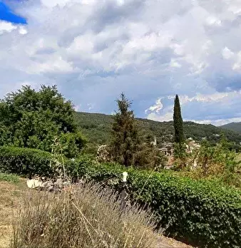 Foto annuncio 37