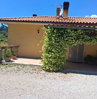 Foto annuncio 41