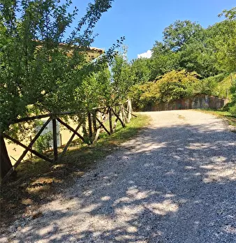 Foto annuncio 43