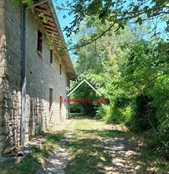 Foto annuncio 50