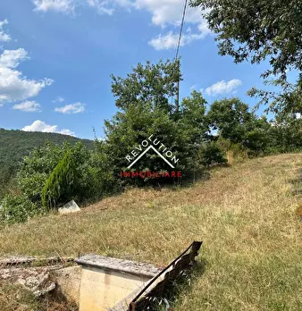 Foto annuncio 52