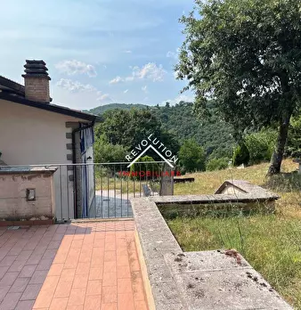 Foto annuncio 50