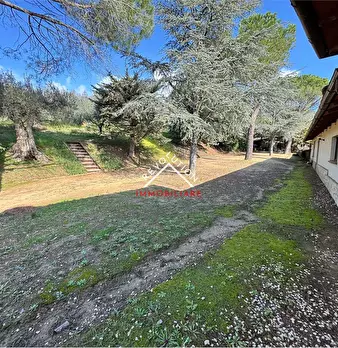 Foto annuncio 14