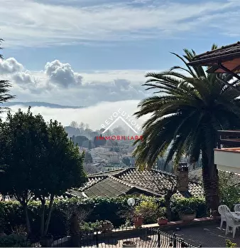 Foto annuncio 33