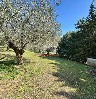 Foto annuncio 35