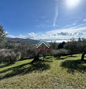 Foto annuncio 36