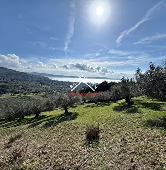 Foto annuncio 37