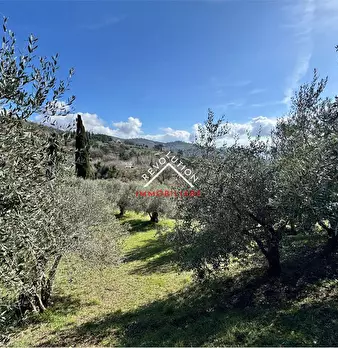 Foto annuncio 38