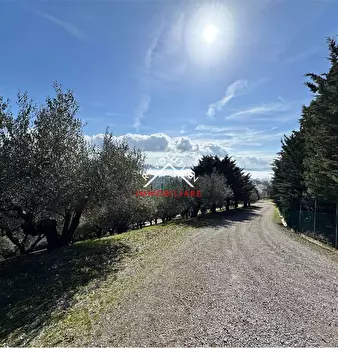 Foto annuncio 39