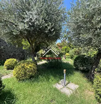Foto annuncio 6