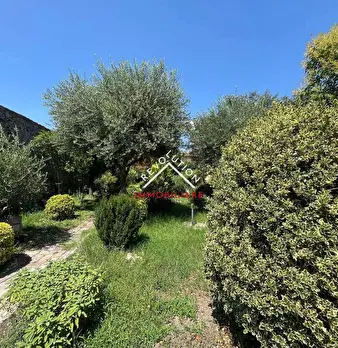 Foto annuncio 8