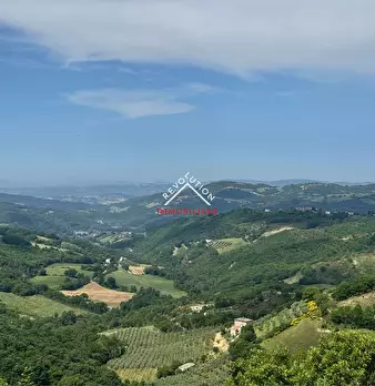 Foto annuncio 36