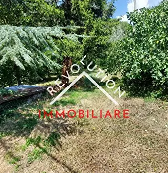 Foto annuncio 37